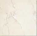 polished porcelain tile