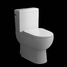 Washdown one piece toilet