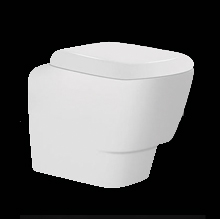 Compact Wall Mounted Toilet