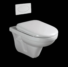 Wall hung Toilet with plastic button