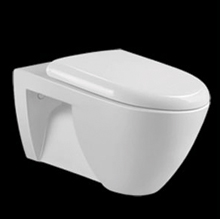 wall mounted toilet