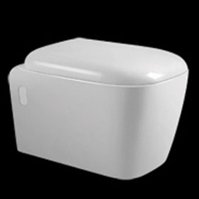 Wall Mounted One Piece Toilet