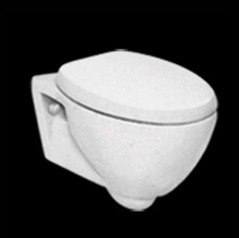 one piece wall mount toilet