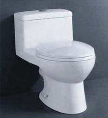 Siphonic One-Piece Toilet