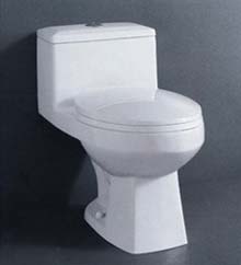 Siphonic One-Piece Toilet