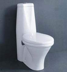 Washdown One-Piece Toilet