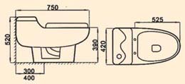 la cuvette WC de flux double