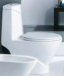 flushing toilet, washdown wc, bathroom toilet, double trap siphonic toilet, water closet company