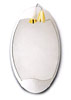 oral bevel mirror