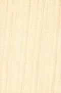 glazed wall tile